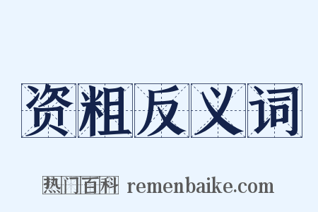 资粗反义词是什么意思的图片